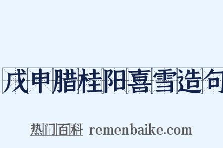 戊申腊桂阳喜雪造句是什么意思的图片